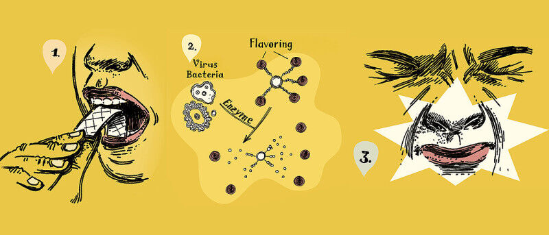 How the flu sensor works: 1. An infected or sick person chews gum. 2. Enzymes in