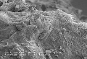 Reinventing concrete