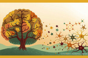 Research grant for Silvia Arber to investigate Parkinson's