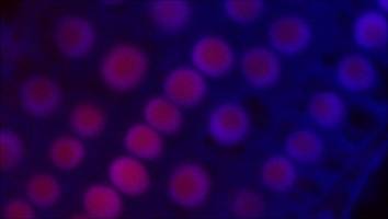 Research on plant growth to get �270,000