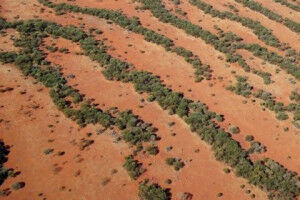 Research project RESILIENCE receives a EUR 10 million ERC Synergy Grant