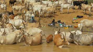 Research selected as a top ten case study showcasing the real-life impact of UK international development research