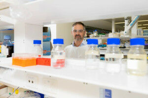Research to develop next generation of TB vaccines