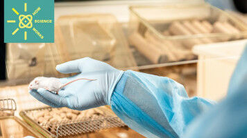 Research with animals, a necessity for scientific progress