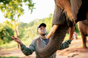 Researcher instrumental in introduction of new elephant care standards