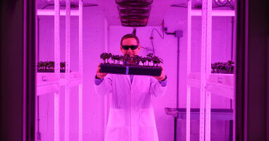 Researcher receives funding from ARIA to unlock potential of plants