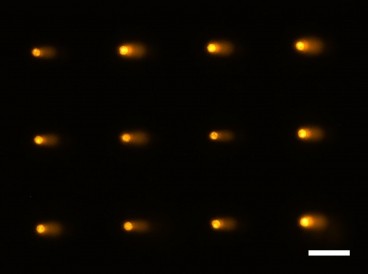 Image: David Wood and David Weingeist 
                 
                 
     