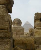 Researchers from Penn, USGS, and the Smithsonian Augment Climate Records Using Fossil Pollen