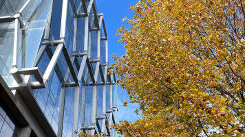 Researchers rank among the top one per cent in the world