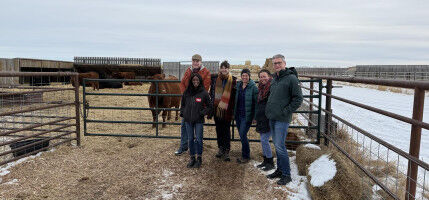 Researchers tap genetics, AI to tackle drug-resistant cattle parasites