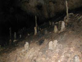 Researchers Use Stalagmites to Study Past Climate Change