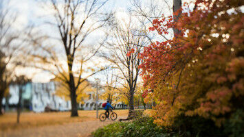 Researchers zero in on longer lockdowns to crush COVID-19