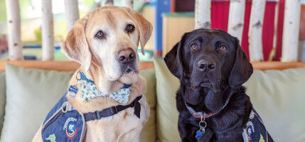 Results for: Luna Centre and UCalgary lead national movement in transforming child advocacy landscape