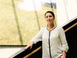 Results of the 2017 university elections