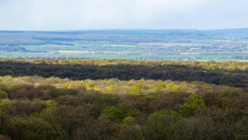 Roadmap for Europe's biodiversity monitoring system