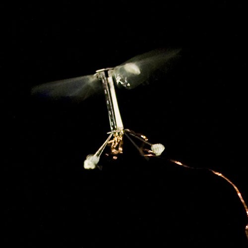 Inspired by the biology of a fly, with submillimeter-scale anatomy and two wafer