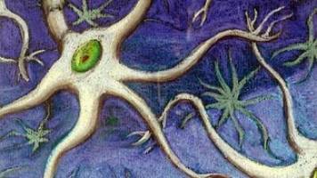 Role of ATP13A2 in neuronal integrity.