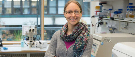 Root symbiosis is regulated through nutrient status of plants