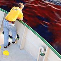 RSMAS Professor to Lead Deepwater Horizon Research