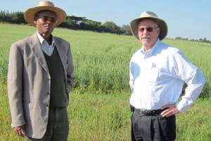 'Rust-Tracker' to monitor deadly wind-borne wheat fungus