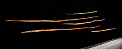 Sch�ninger spears - mankind's earliest wooden weapons