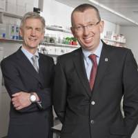 School of Pharmacy will merge with UCL