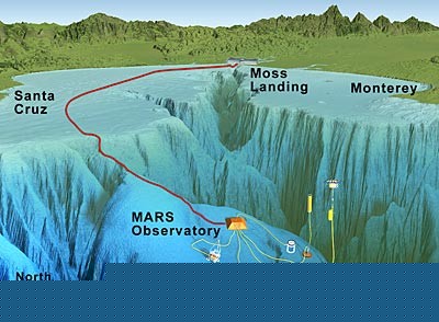 The MARS cable connects a seafloor science node (orange) to the shore at Moss La