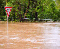 Scientists crack code on using nature to stop floods �