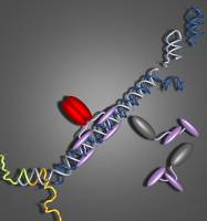 Scientists Create New Process to