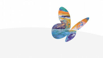 Scientists gather virtually to discuss advances in Earth observation