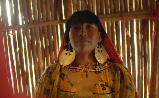 Leading Monash University academics working at the forefront of some of the worl