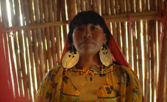 Scientists star in documentary to premiere at the Melbourne International Film Festival