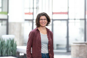 Scrutinising the multi-crisis