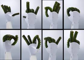 Self healing robots that 