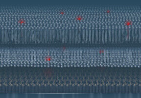 Single-molecule, metal-induced energy transfer