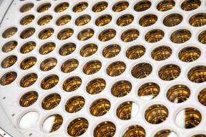 Site of LUX-ZEPLIN Dark Matter Search Project Carefully Ramps Up Science Work