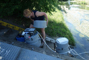 Small Flows with a Big Impact