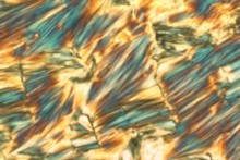 Small science offers opportunity for regional businesses