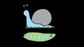 Snail-inspired drug delivery system