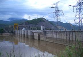 Something fishy about proposed dams