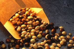 Soya beans could hold clue to treating fatal childhood disease