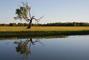 Spotlight on caring for country