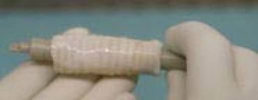 Stem cell breakthrough enters permanent national exhibition