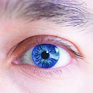 ?My eye! my beautiful eye? by  Fausto 
Fernos  on Flickr.  Some rights reserved