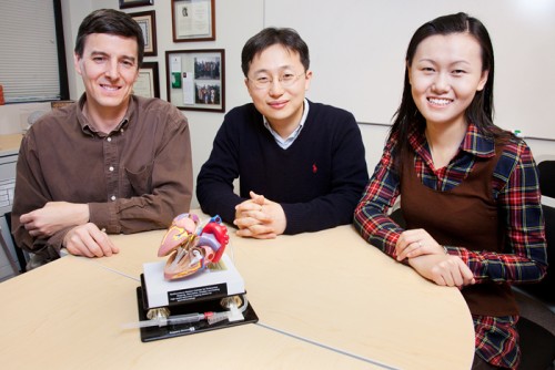 John Rogers, left, a professor of materials science and engineering, led a team 