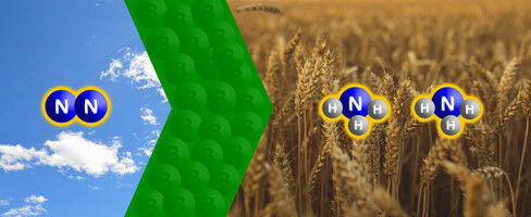 Strong Support for Applied Boron Research