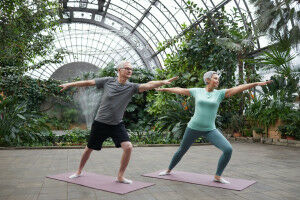 Study identifies link between certain lifestyle activities and reduced cognitive decline