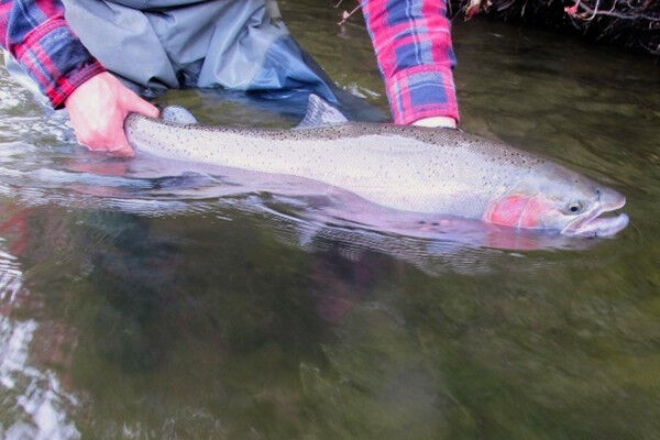 Photo: Jonathan Moore