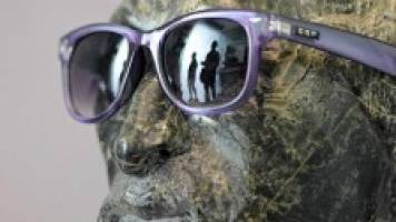 Summer at the Museums continues (with or without summer)