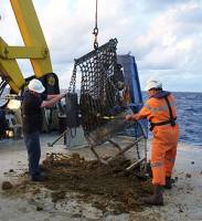 Sunken islands could cause tectonic shift in Gondwana story